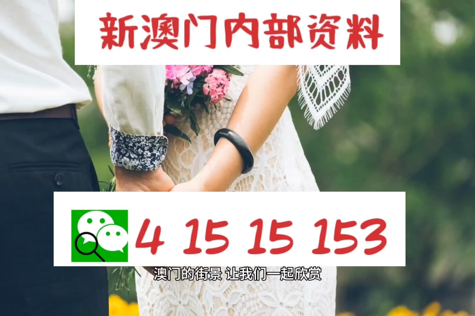 新澳精準資料，深度解析與探索，新澳精準資料深度解析與探索之旅