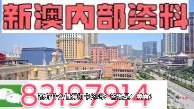 澳門(mén)彩天天免費(fèi)精準(zhǔn)資料，探索與解析，澳門(mén)彩天天免費(fèi)精準(zhǔn)資料解析與探索