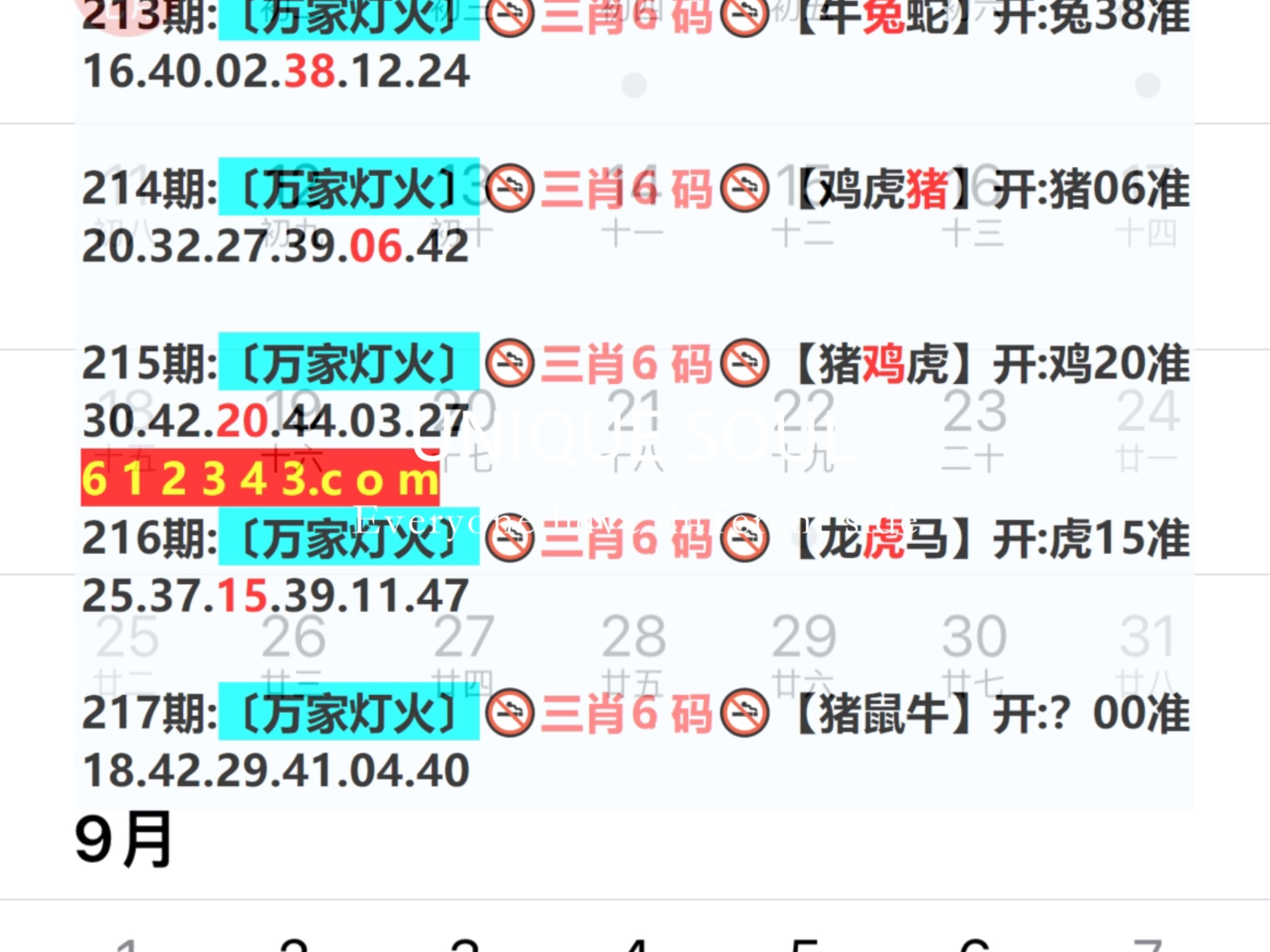 新奧今日六肖中特，揭秘背后的秘密與趨勢分析，揭秘新奧今日六肖中特背后的秘密與趨勢分析