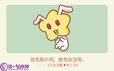 揭秘精準(zhǔn)生肖，探尋神奇的數(shù)字組合777778與888888背后的生肖秘密，揭秘生肖秘密，數(shù)字組合777778與888888背后的生肖傳奇