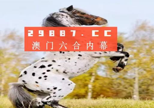 白小姐的精準(zhǔn)免費四肖，揭秘背后的秘密，揭秘白小姐精準(zhǔn)免費四肖背后的秘密