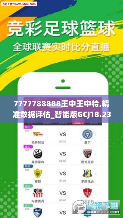 王中王493333中特馬特色，探索與解析，王中王493333中特馬特色的探索與解析