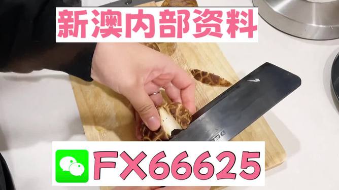 澳門九點(diǎn)半9點(diǎn)半網(wǎng)站——探索其魅力與優(yōu)勢(shì)，澳門九點(diǎn)半網(wǎng)站，魅力與優(yōu)勢(shì)探索