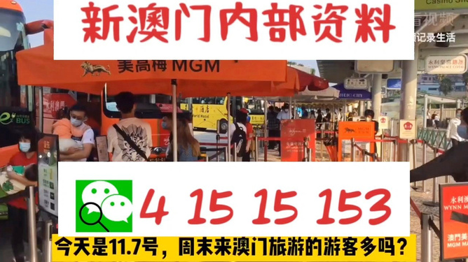 新澳今晚上9點(diǎn)30開獎(jiǎng)直播視頻——全方位解讀與體驗(yàn)，新澳今晚9點(diǎn)30開獎(jiǎng)直播全方位解讀與體驗(yàn)獨(dú)家呈現(xiàn)