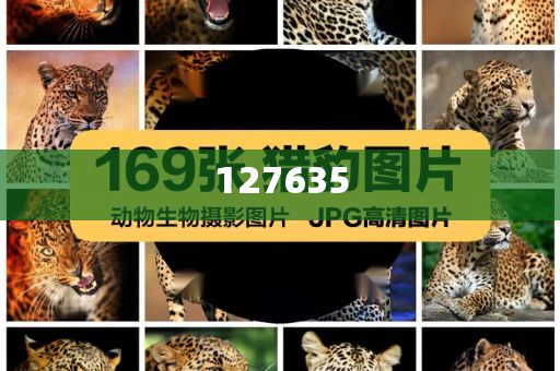 7777788888精準(zhǔn)新傳真?
