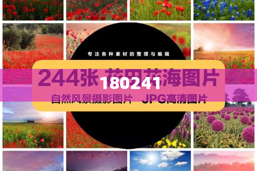 精準(zhǔn)管家婆狗