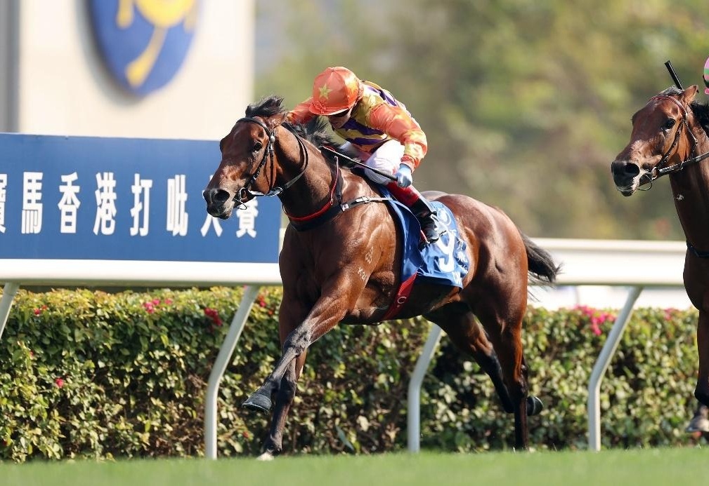 香港賽馬會，探索賽馬運動的魅力與激情的交匯點——7777788888的獨特魅力，香港賽馬會，賽馬運動的激情交匯點與獨特魅力探索