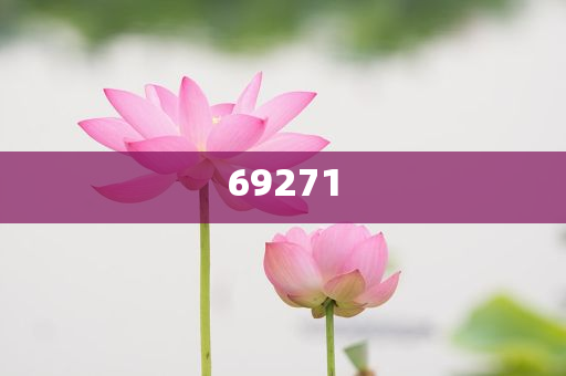 新澳今晚9點(diǎn)30分的精彩瞬間與背后故事揭秘，新澳之夜，精彩瞬間與幕后揭秘 9點(diǎn)30分的震撼時(shí)刻