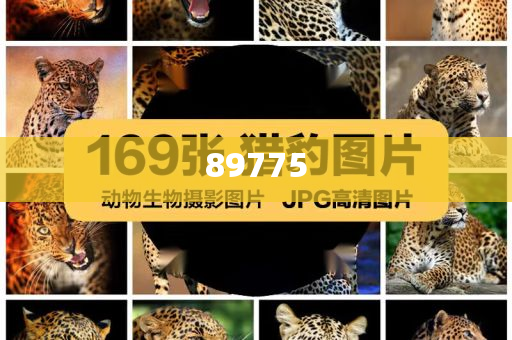關(guān)于新奧歷史開獎記錄的最新信息，今天公布了嗎？，新奧歷史開獎記錄最新信息公布了嗎？