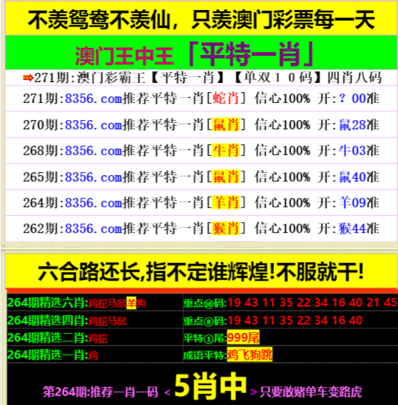 澳門王中王心水王中王，探索與解析，澳門王中王心水奧秘，深度探索與解析