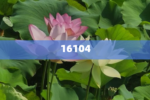 新奧600圖庫(kù)2025，探索與前瞻，新奧600圖庫(kù)2025，深度探索與未來(lái)展望