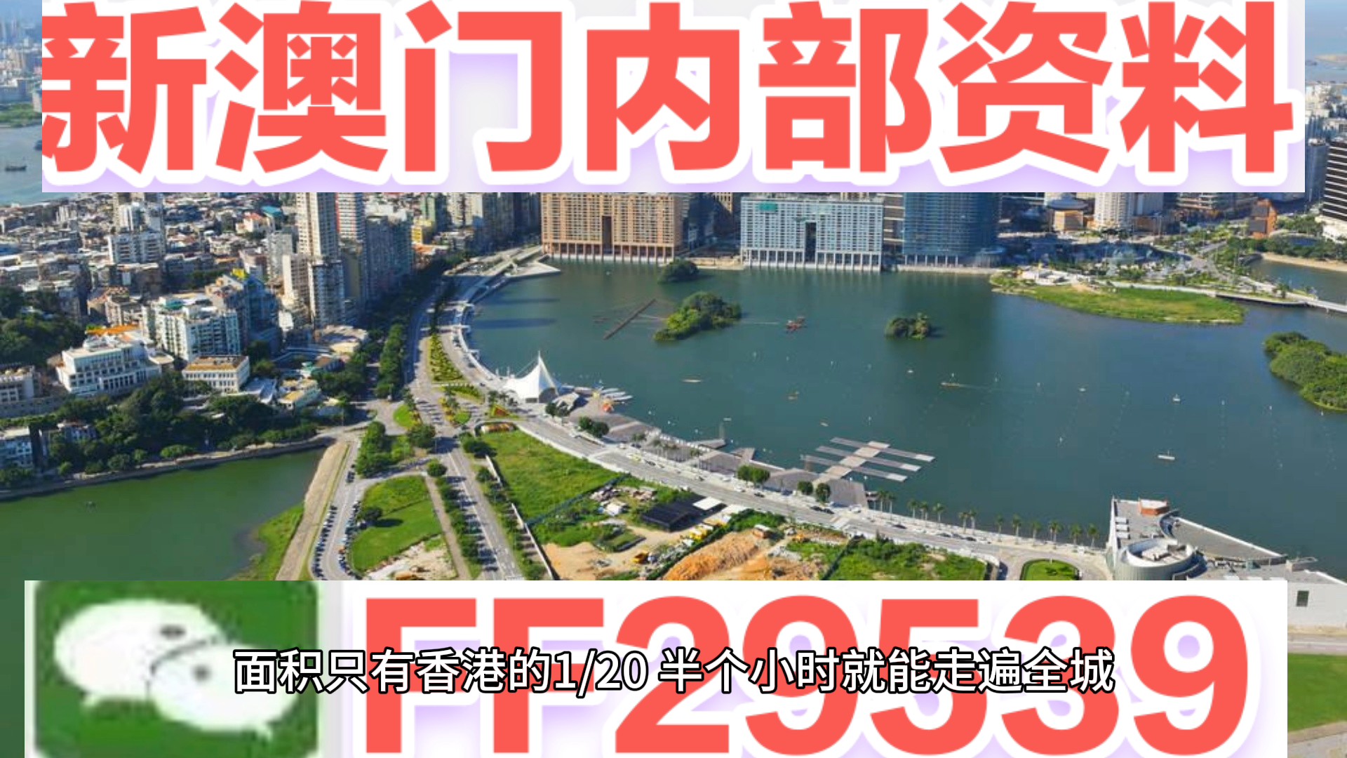 澳門特碼，探索其背后的秘密與魅力，澳門特碼背后的秘密與魅力探索