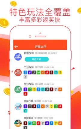 揭秘精準王中王，揭秘數(shù)字組合777778與88888背后的秘密，揭秘數(shù)字組合背后的秘密，精準王中王與數(shù)字組合777778與88888的神秘面紗