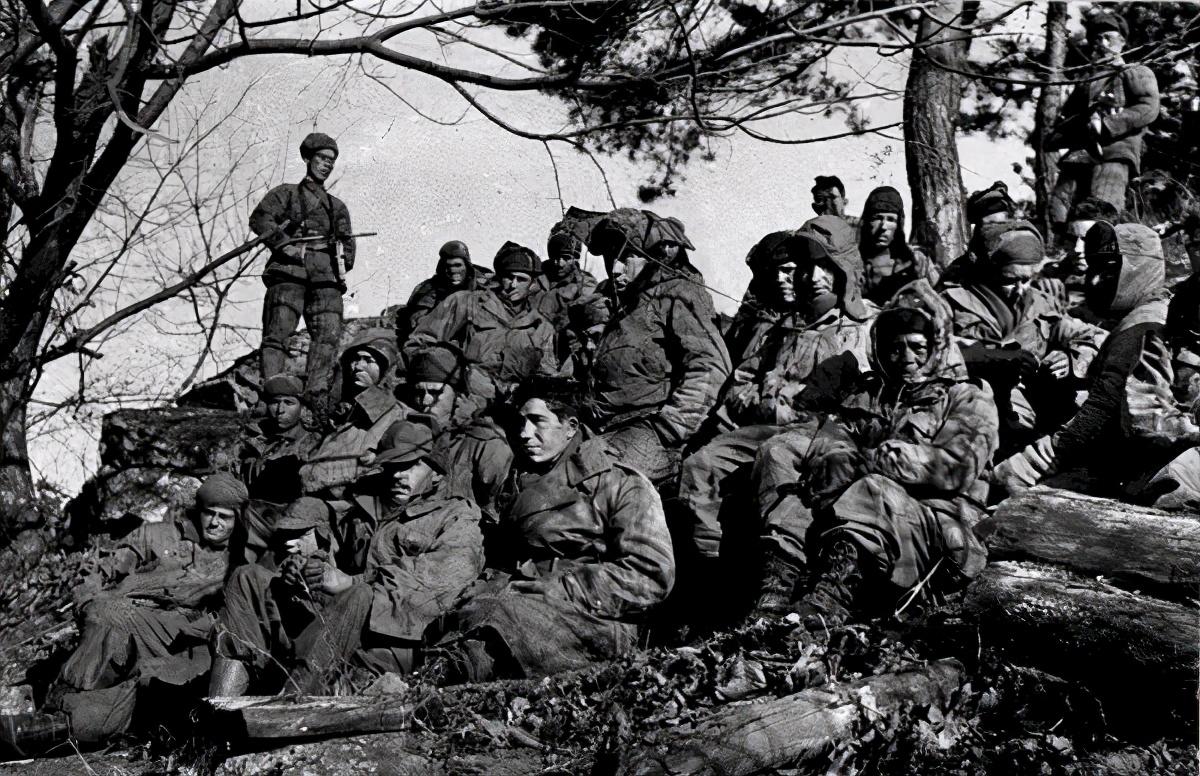 王中王119期指一生肖，深度解析與預(yù)測(cè)，王中王119期生肖深度解析與預(yù)測(cè)，揭秘未來走向