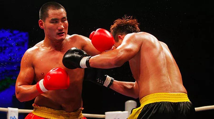 王中王85期指一生肖——深度解析與預測，王中王85期生肖深度解析與預測