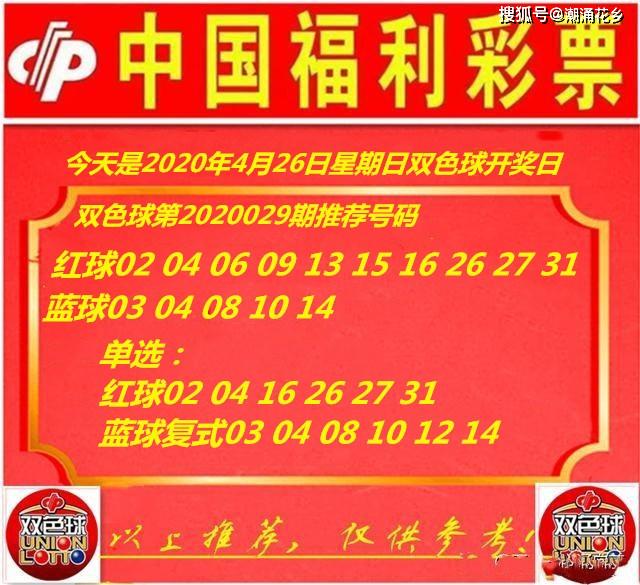 王中王029期指一生肖，揭秘生肖魅力與預(yù)測背后的秘密，揭秘生肖魅力與預(yù)測背后的秘密，王中王生肖預(yù)測第029期揭曉