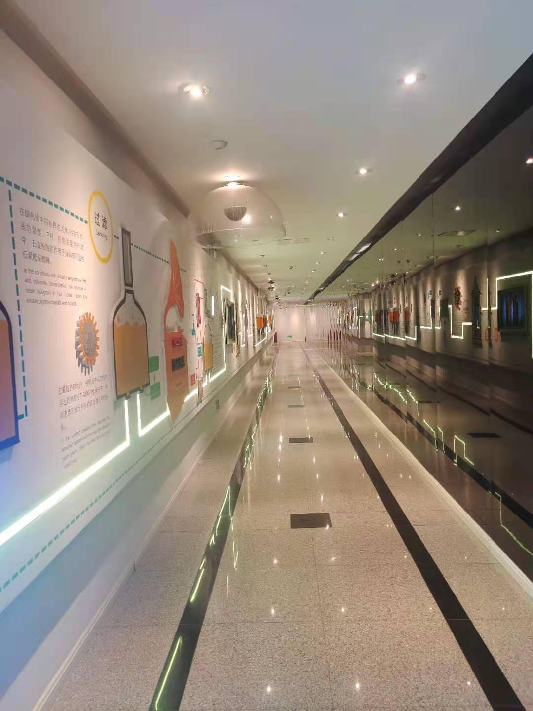 澳門一碼一肖一待一中四不像——揭開神秘面紗下的真相，澳門神秘事件揭秘，一碼一肖一待一中四不像真相探索