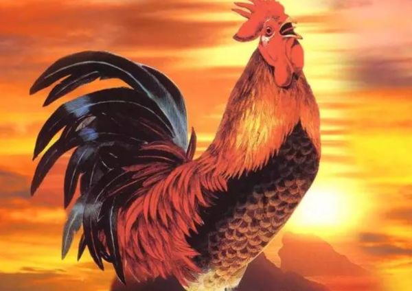 十二生肖王中王，揭秘生肖中的王者之王，揭秘十二生肖中的王者之王，生肖之王中的王中王