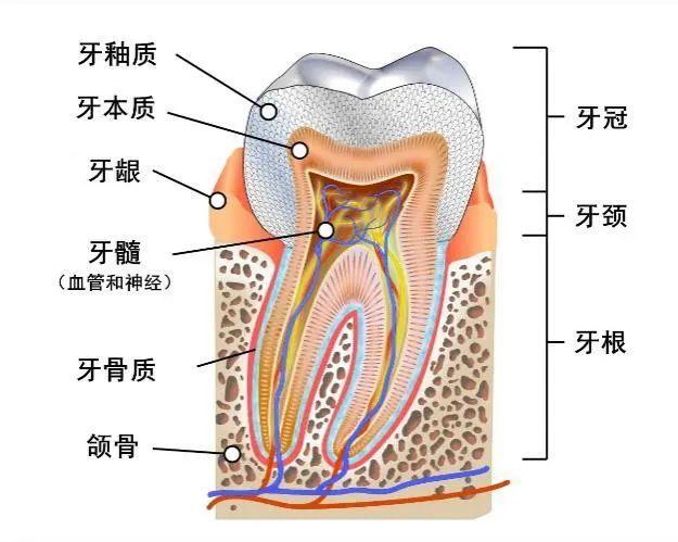 男人更年期一般多久，全面解析與關(guān)注，全面解析與關(guān)注，男人更年期的時(shí)長(zhǎng)及影響