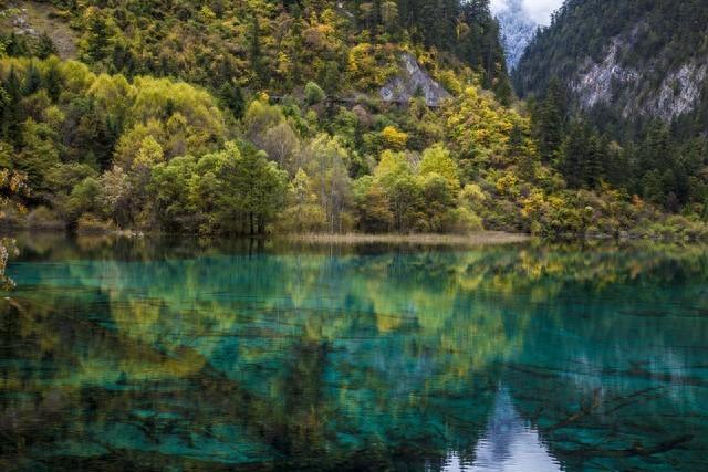 四川九寨溝景區(qū)簡(jiǎn)介——自然之美的瑰寶，四川九寨溝景區(qū)，自然之美的瑰寶簡(jiǎn)介