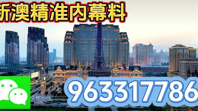 澳門最精準——探尋真正的精準之旅，澳門精準之旅，探尋真正的預(yù)測奧秘