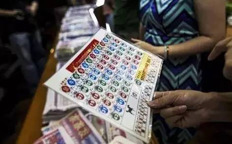 香港王中王開獎結果查詢，今晚開獎盛況一覽，香港王中王開獎結果查詢，今晚盛況揭曉，最新開獎信息一覽