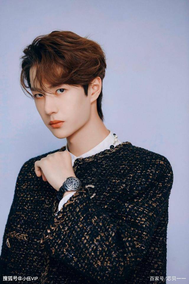 王中王一肖中特資料圖片——深度解析與SEO優(yōu)化文章，王中王一肖中特資料圖片的深度解析與SEO優(yōu)化探討