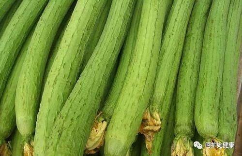 絲瓜，功效、作用與禁忌事項(xiàng)詳解，絲瓜，功效、作用及禁忌事項(xiàng)全解析