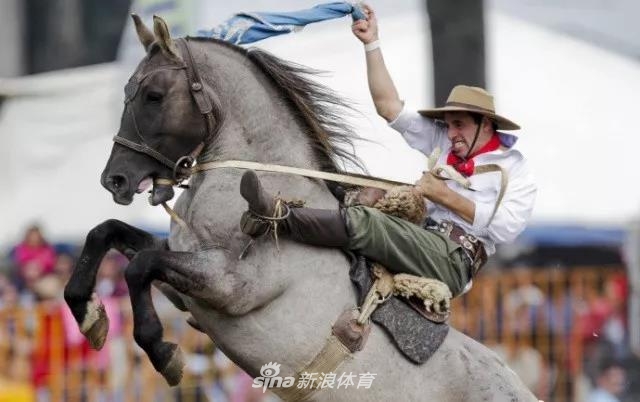 王中王四不像一肖中馬——探尋神秘生肖的魅力，探尋神秘生肖馬之魅力，王中王四不像一肖中馬揭秘