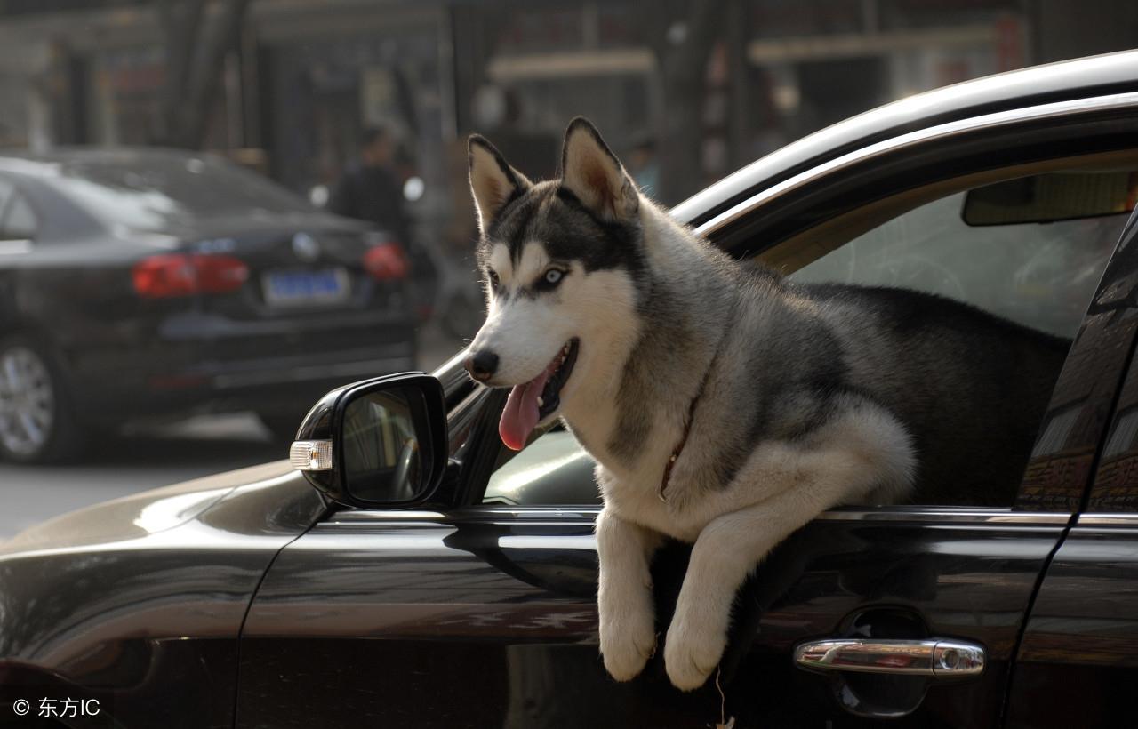 今晚九點(diǎn)三十分特馬開彩盛宴，揭秘彩票背后的秘密！，揭秘彩票背后的秘密，今晚九點(diǎn)三十分特馬開彩盛宴！