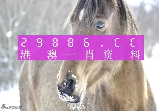 澳門一肖一碼100%準(zhǔn)確預(yù)測(cè)——揭秘彩票神秘面紗，澳門彩票預(yù)測(cè)揭秘，一肖一碼百分百準(zhǔn)確預(yù)測(cè)神秘面紗下的幸運(yùn)數(shù)字