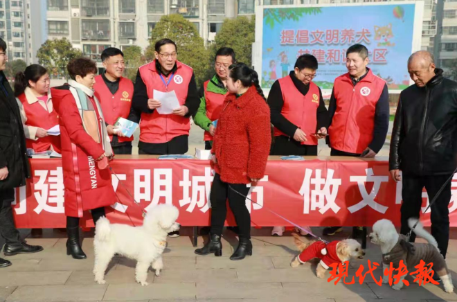 急先鋒澳門六肖，深度解析與探索，澳門六肖急先鋒，深度解析與探索