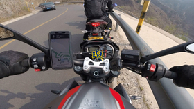 王中王310期指一生肖——揭秘生肖運勢與人生軌跡，揭秘生肖運勢與人生軌跡，王中王310期指一生肖探討返回頂部