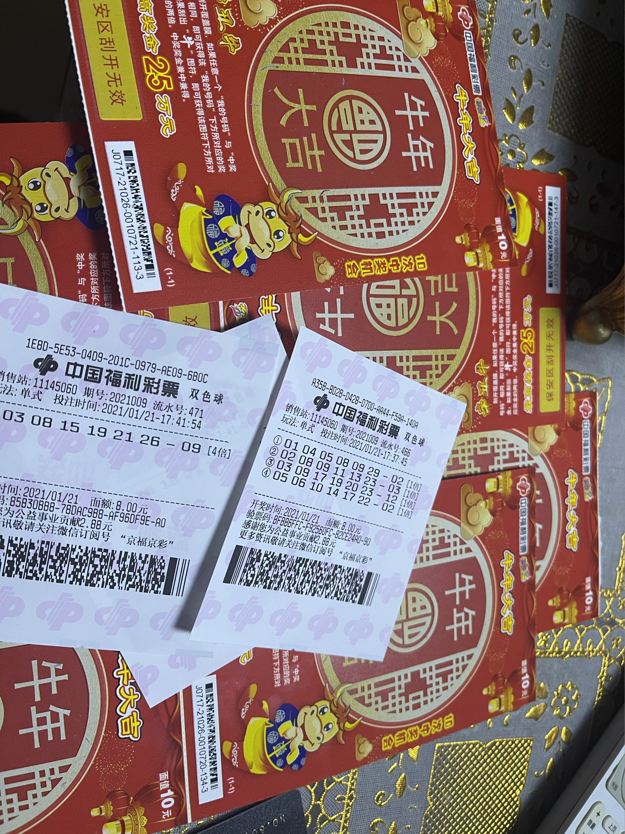 香巷平特一肖王中王，揭秘背后的秘密與SEO策略，揭秘香巷平特一肖王中王的秘密與SEO策略