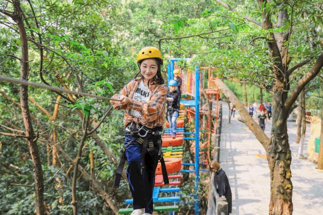廈門觀音山游樂場項目，探索與體驗的獨特魅力，廈門觀音山游樂場，獨特魅力的探索與體驗之旅