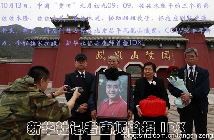 一肖出特王中王選，深度解析與SEO優(yōu)化策略，一肖出特王中王選，深度解析及SEO優(yōu)化策略全攻略