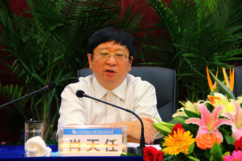 王中王資科一肖中持天，深度解析與SEO優(yōu)化策略，王中王資科一肖中持天深度解析與SEO優(yōu)化策略探討