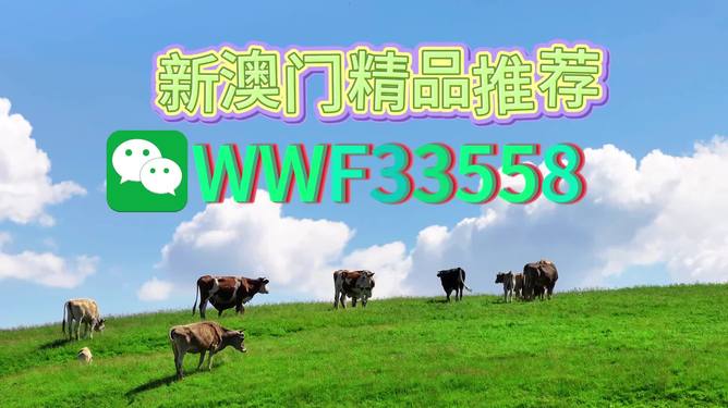 揭秘今晚9點(diǎn)30生肖運(yùn)勢，你的生肖運(yùn)勢如何？，揭秘今晚9點(diǎn)30生肖運(yùn)勢，你的生肖運(yùn)勢走向如何？