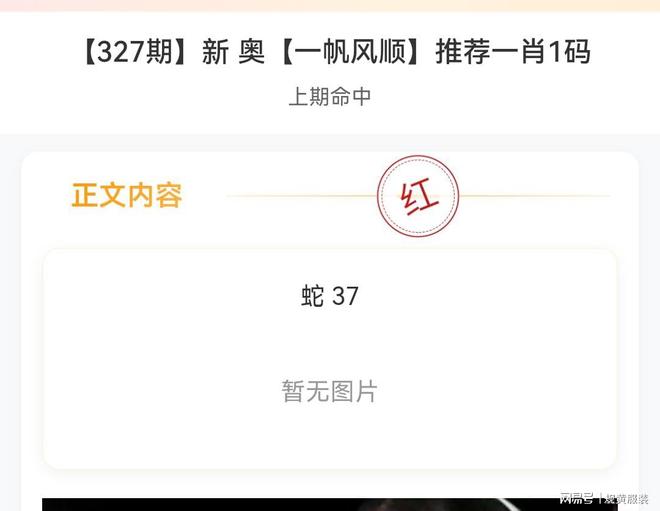 新澳內部碼網址，探索與解析，新澳內部碼網址深度解析與探索