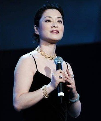 毛阿敏個人資料及年齡詳解，毛阿敏個人資料與年齡揭秘