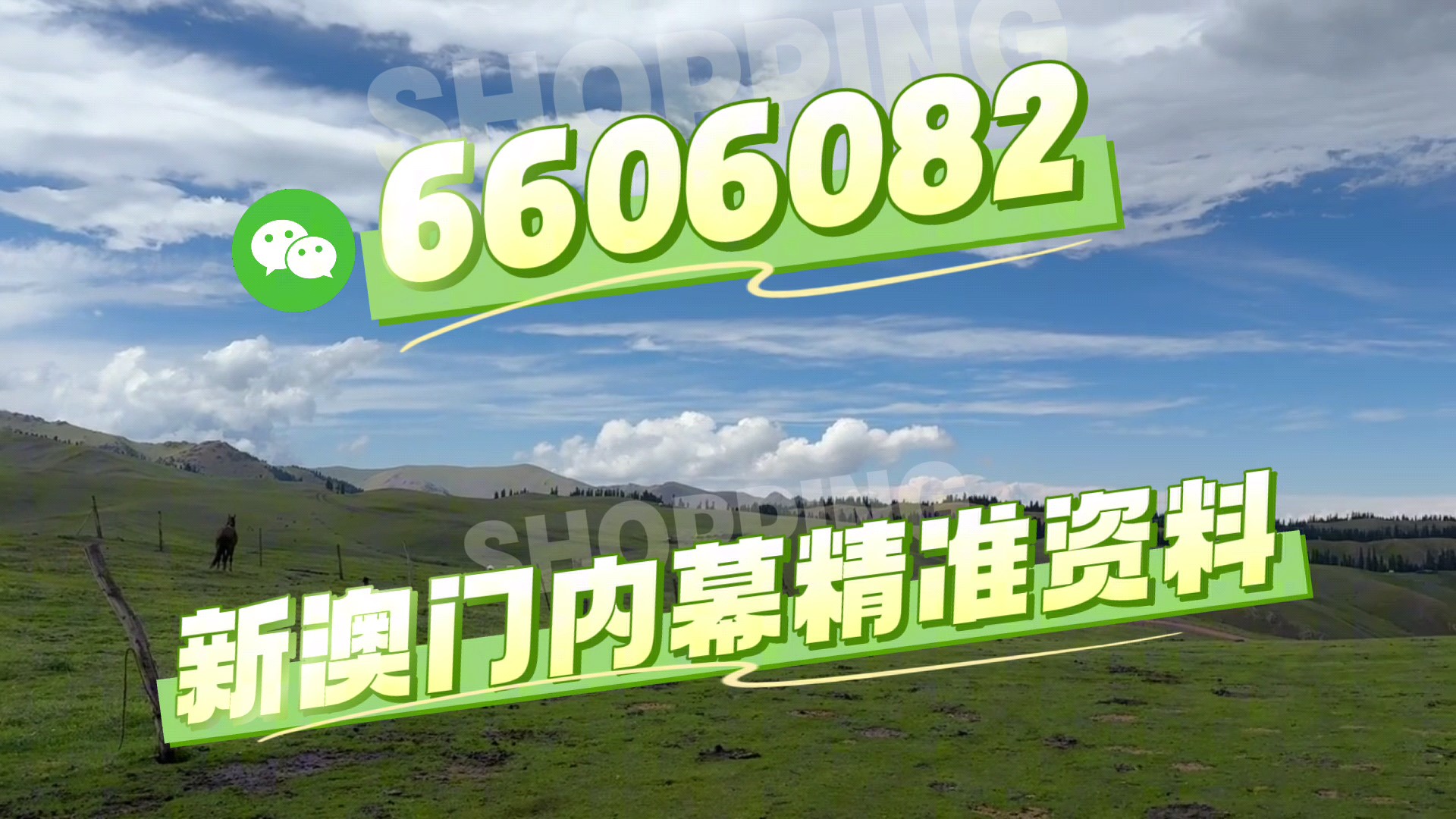 澳門今晚必開一肖一碼，探索生肖彩票的魅力與策略，澳門生肖彩票探索，魅力與策略揭秘