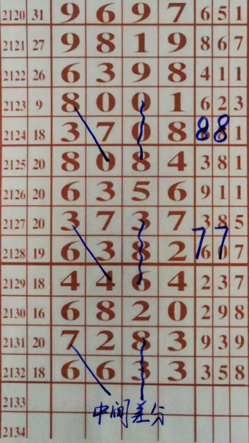 79期王中王三肖一碼，深度解析與SEO優(yōu)化策略，79期王中王三肖一碼深度解析與SEO策略全解析