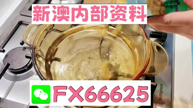 新澳一碼料，深度解析與SEO優(yōu)化策略，新澳一碼料深度解析與SEO優(yōu)化策略指南