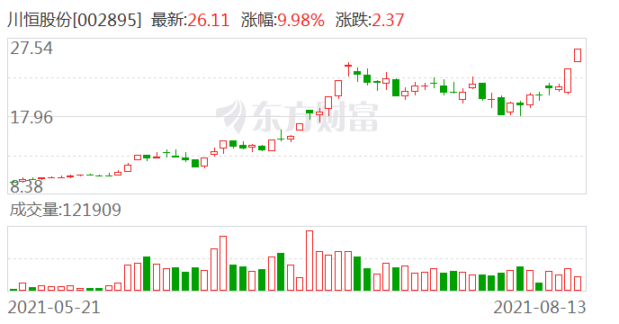川恒股份股票，深度解析與發(fā)展前景展望，川恒股份股票深度解析與未來(lái)展望