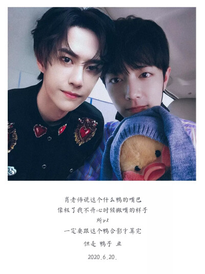 王中王一肖資料一肖王，深度解析與SEO優(yōu)化文章，王中王一肖資料深度解析與SEO優(yōu)化策略探討