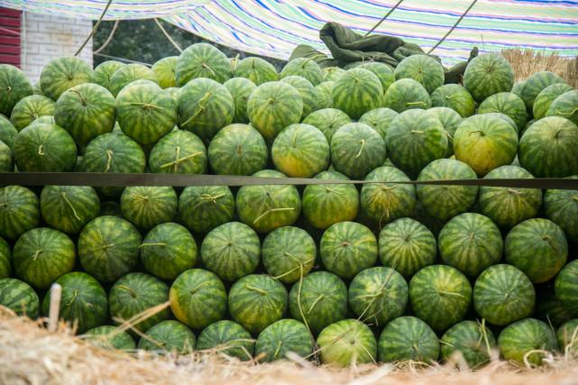 澳門一碼一肖預(yù)測