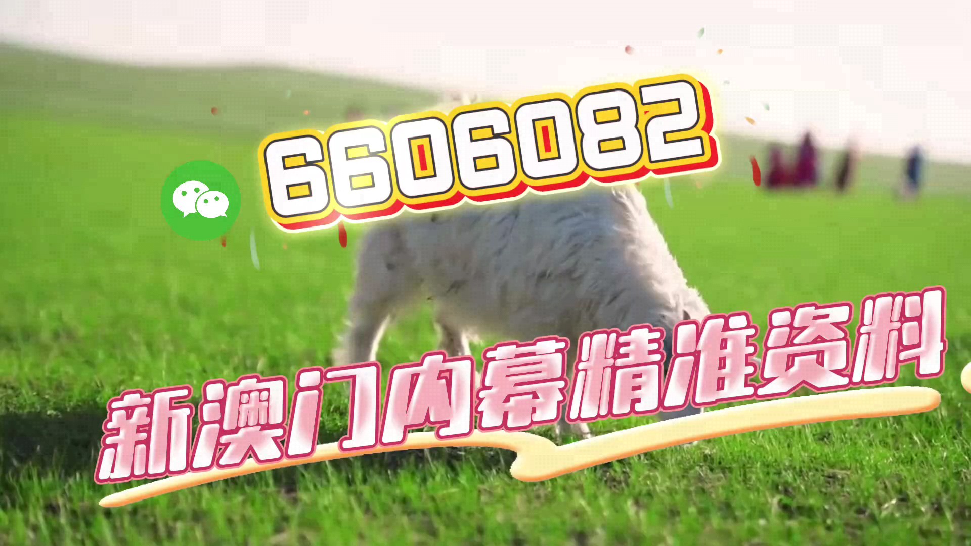 新澳門期期準(zhǔn)免費期期準(zhǔn)，探索真實性與背后的秘密，澳門彩票背后的真實性與秘密探索