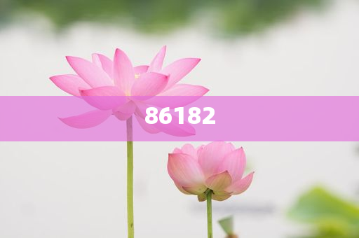 新聞咨詢 第18頁