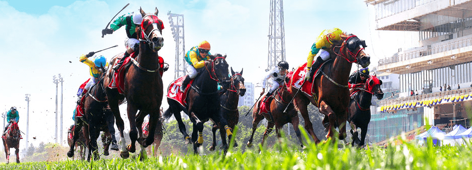 澳門賽馬會資料最準一碼，深度解析與最新資訊，澳門賽馬會資料解析，最新一碼與深度資訊匯總