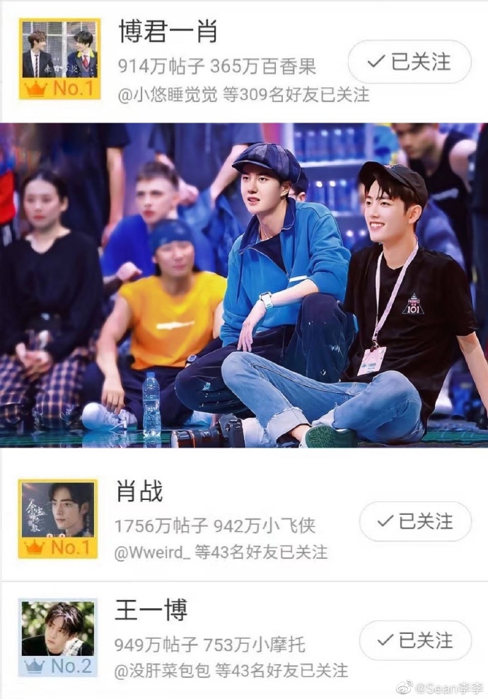 王中王一肖中特資料詳解，王中王一肖中特資料深度解析